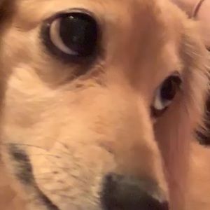 Meet your Posher, Nikolette